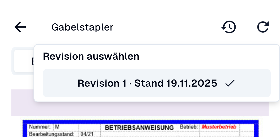 Revision auswählen
